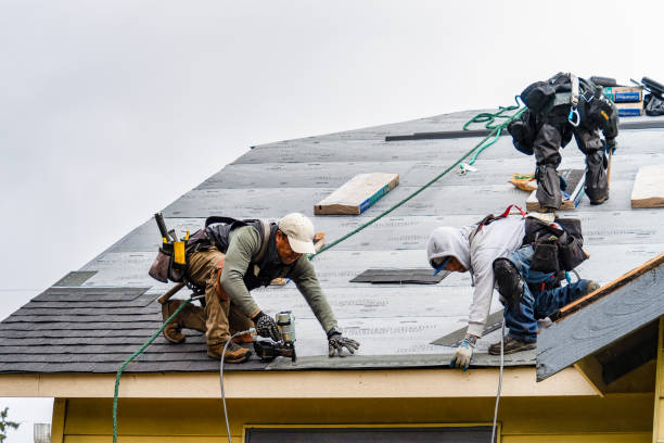 Professional Roofing technician working in Marcellus, MI